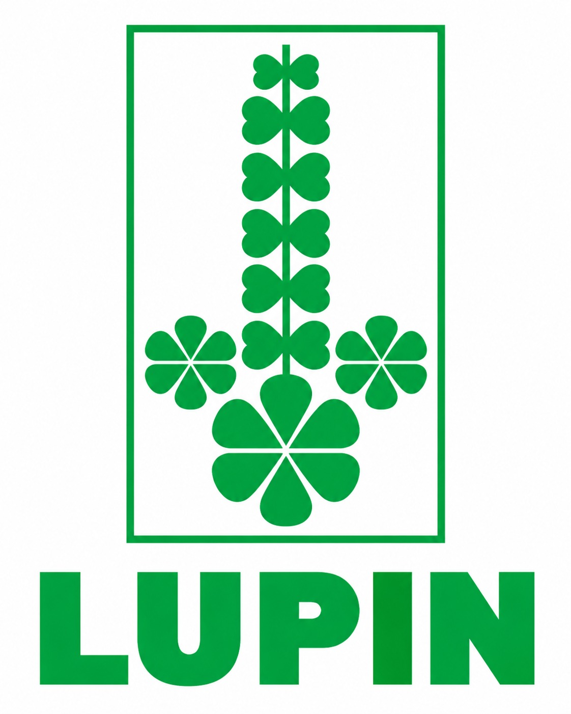 Lupin